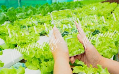 Tecnico superiore per l’innovazione digitale, sostenibile ed enogastronomica nell’industria agroalimentare
